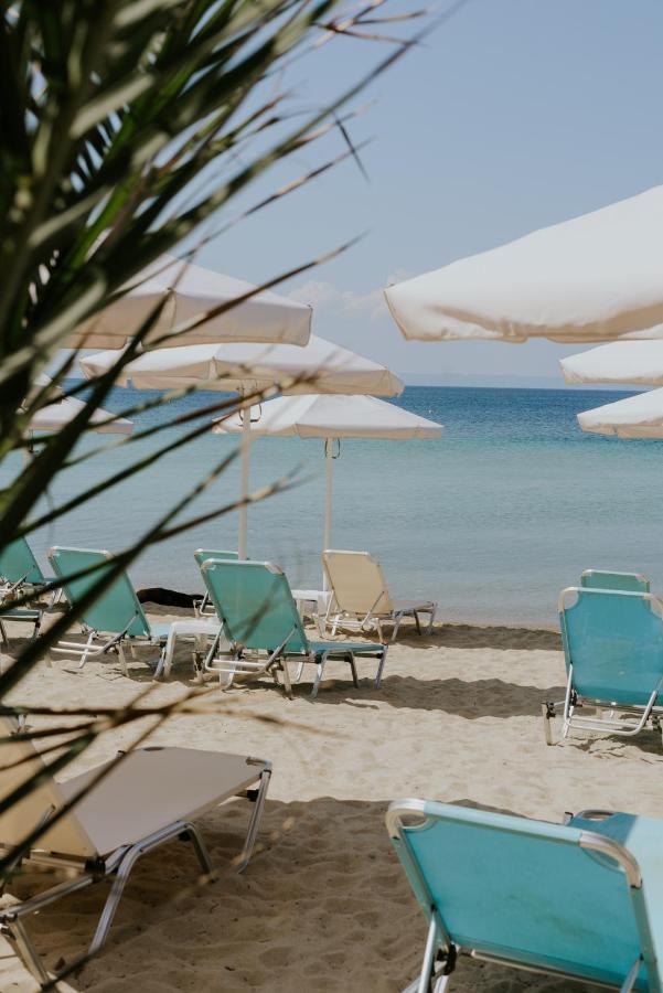 Xenios Zeus Hotel Nikiti  Luaran gambar
